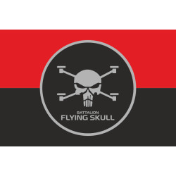 Флаг Батальона СБС (Силы беспилотных систем) ВСУ «Flying Skull». Вариант-03 Флаг Батальона СБС (Силы беспилотных систем) ВСУ «Flying Skull». Вариант-03