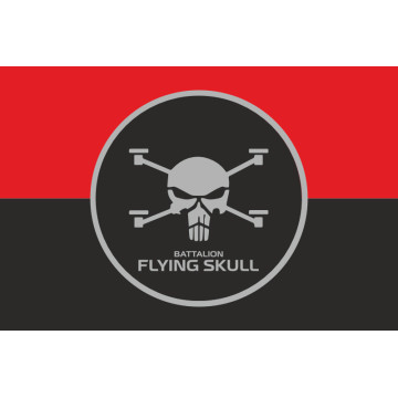 Флаг Батальона СБС (Силы беспилотных систем) ВСУ «Flying Skull». Вариант-03 Флаг Батальона СБС (Силы беспилотных систем) ВСУ «Flying Skull». Вариант-03