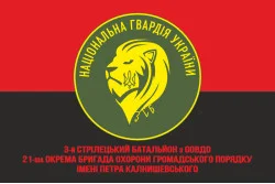 Прапор 3 СБ ООВДО (стрілецький батальйон охорони особливо важливих державних об'єктів) НГУ. Варіант-05