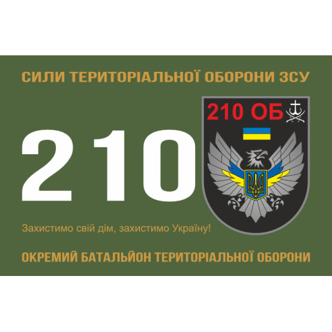 Прапор 210 ОБТрО (окремий батальйон ТрО) Сил ТрО ЗСУ. Варіант-01
