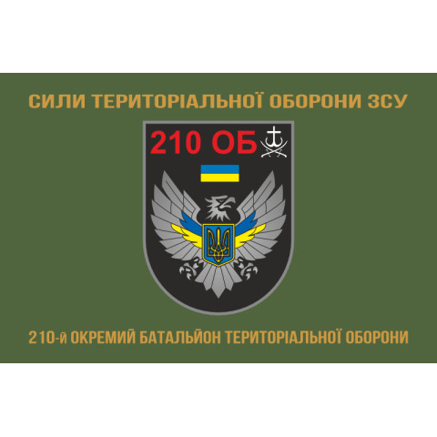 Прапор 210 ОБТрО (окремий батальйон ТрО) Сил ТрО ЗСУ. Варіант-04
