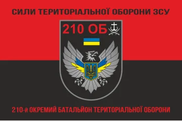 Прапор 210 ОБТрО (окремий батальйон ТрО) Сил ТрО ЗСУ. Варіант-08