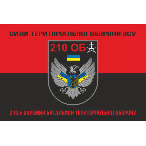 Прапор 210 ОБТрО (окремий батальйон ТрО) Сил ТрО ЗСУ. Варіант-08