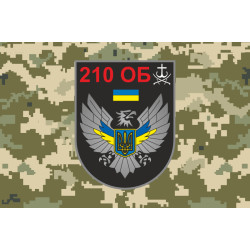 Прапор 210 ОБТрО (окремий батальйон ТрО) Сил ТрО ЗСУ. Варіант-10 Прапор 210 ОБТрО (окремий батальйон ТрО) Сил ТрО ЗСУ. Варіант-10