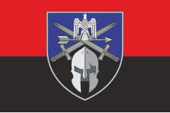 Флаг 424 ОСБ (отдельный стрелковый батальон) ВСУ. Вариант-09
