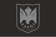 Флаг 427 ОП БпС (отдельный полк беспилотных систем) ВСУ «Рарог». Вариант-07