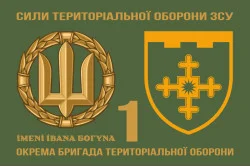 Флаг 1 ОБрТрО (отдельная бригада территориальной обороны) Сил ТрО ВСУ. Вариант-02 Флаг 1 ОБрТрО (отдельная бригада территориальной обороны) Сил ТрО ВСУ. Вариант-02