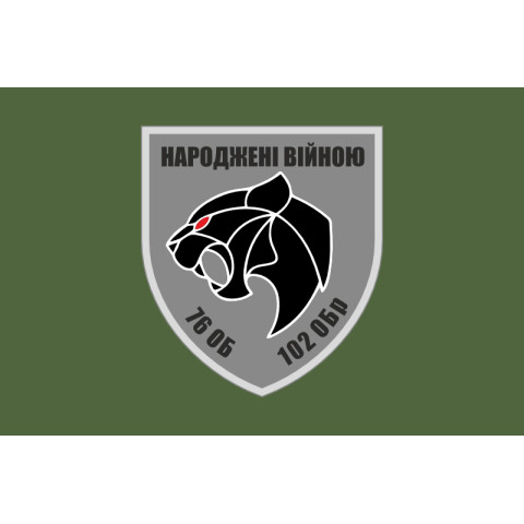 Флаг 76 ОБТрО (отдельный батальон ТрО) Сил ТрО ВСУ. Вариант-03 Флаг 76 ОБТрО (отдельный батальон ТрО) Сил ТрО ВСУ. Вариант-03