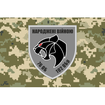 Флаг 76 ОБТрО (отдельный батальон ТрО) Сил ТрО ВСУ. Вариант-10 Флаг 76 ОБТрО (отдельный батальон ТрО) Сил ТрО ВСУ. Вариант-10