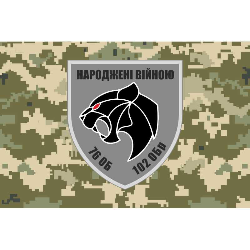 Флаг 76 ОБТрО (отдельный батальон ТрО) Сил ТрО ВСУ. Вариант-10 Флаг 76 ОБТрО (отдельный батальон ТрО) Сил ТрО ВСУ. Вариант-10