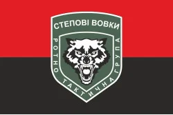 Флаг Ротно-тактической группы «Степные волки» ВСУ. Вариант-02