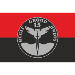 Прапор Підрозділу «Group 13» ГУР МОУ. Варіант-02 Прапор Підрозділу «Group 13» ГУР МОУ. Варіант-02