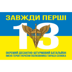Флаг 13 ОДШБ (отдельный десантно-штурмовой батальон) 95 ОДШБр ВСУ. Вариант-08