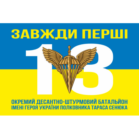 Флаг 13 ОДШБ (отдельный десантно-штурмовой батальон) 95 ОДШБр ВСУ. Вариант-08