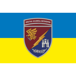 Флаг 13 ОДШБ (отдельный десантно-штурмовой батальон) 95 ОДШБр ВСУ. Вариант-12