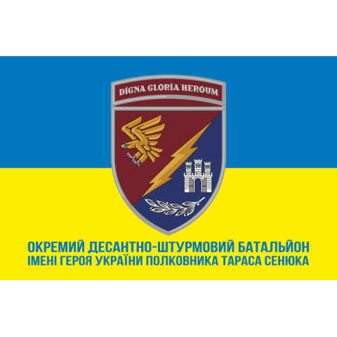 Флаг 13 ОДШБ (отдельный десантно-штурмовой батальон) 95 ОДШБр ВСУ. Вариант-13
