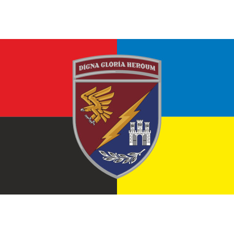 Флаг 13 ОДШБ (отдельный десантно-штурмовой батальон) 95 ОДШБр ВСУ. Вариант-16