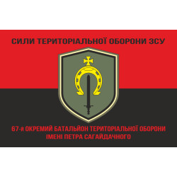 Флаг 67 ОБТрО (отдельный батальон ТрО) Сил ТрО ВСУ. Вариант-08 Флаг 67 ОБТрО (отдельный батальон ТрО) Сил ТрО ВСУ. Вариант-08