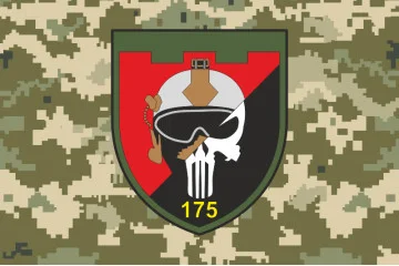 Флаг 175 ОБТрО (отдельный батальон ТрО) Сил ТрО ВСУ. Вариант-10 Флаг 175 ОБТрО (отдельный батальон ТрО) Сил ТрО ВСУ. Вариант-10