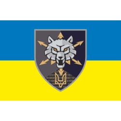 Прапор 111 ОПЗ (окремий полк зв'язку) ССО ЗСУ. Варіант-05
