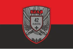 Флаг 42 ОМПБ (отдельный мотопехотный батальон) ВСУ «Воля». Вариант-08