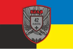 Флаг 42 ОМПБ (отдельный мотопехотный батальон) ВСУ «Воля». Вариант-09