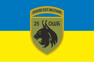 Флаг 25 ОШБ (отдельный штурмовой батальон) ВСУ. Вариант-07 Флаг 25 ОШБ (отдельный штурмовой батальон) ВСУ. Вариант-07