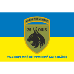 Флаг 25 ОШБ (отдельный штурмовой батальон) ВСУ. Вариант-08 Флаг 25 ОШБ (отдельный штурмовой батальон) ВСУ. Вариант-08