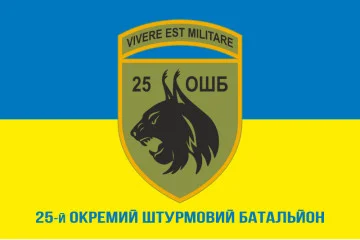 Флаг 25 ОШБ (отдельный штурмовой батальон) ВСУ. Вариант-08 Флаг 25 ОШБ (отдельный штурмовой батальон) ВСУ. Вариант-08