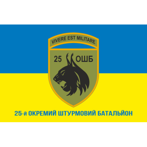 Флаг 25 ОШБ (отдельный штурмовой батальон) ВСУ. Вариант-08