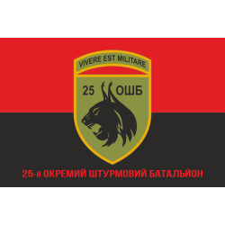 Флаг 25 ОШБ (отдельный штурмовой батальон) ВСУ. Вариант-10 Флаг 25 ОШБ (отдельный штурмовой батальон) ВСУ. Вариант-10