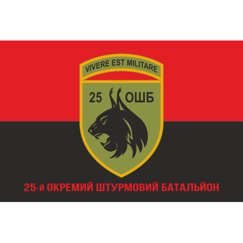 Флаг 25 ОШБ (отдельный штурмовой батальон) ВСУ. Вариант-10