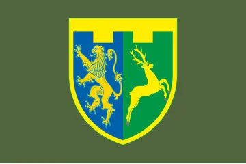 Прапор 202 ОБТрО (окремий батальйон ТрО) Сил ТрО ЗСУ. Варіант-13