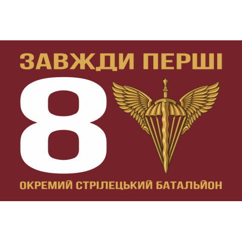 Прапор 8 ОСБ (окремий стрілецький батальйон) 78 ОДШП ДШВ ЗСУ. Варіант-07