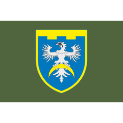 Флаг 186 ОБТрО (отдельный батальон ТрО) Сил ТрО ВСУ. Вариант-03