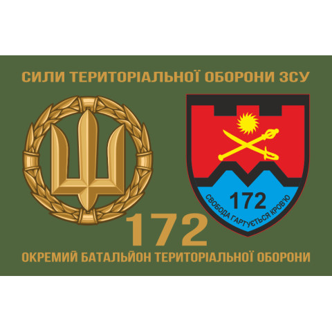 Прапор 172 ОБТрО (окремий батальйон ТрО) Сил ТрО ЗСУ. Варіант-02