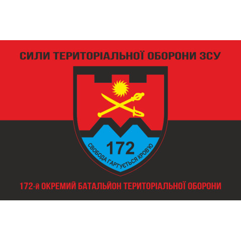 Прапор 172 ОБТрО (окремий батальйон ТрО) Сил ТрО ЗСУ. Варіант-08