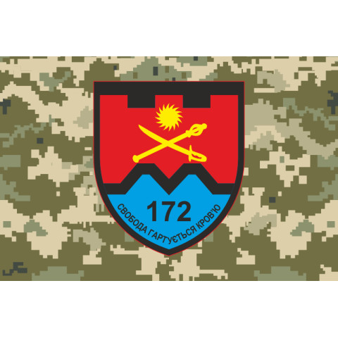 Прапор 172 ОБТрО (окремий батальйон ТрО) Сил ТрО ЗСУ. Варіант-10