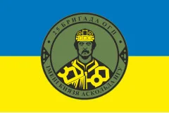 Флаг 25 ОБрООП (отдельная бригада охраны общественного порядка) НГУ. Вариант-08