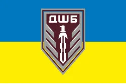 Флаг 1 ДШБ (десантно-штурмовый батальон) 95 ОДШБр ВСУ. Вариант-09