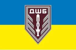 Флаг 1 ДШБ (десантно-штурмовый батальон) 95 ОДШБр ВСУ. Вариант-20 Флаг 1 ДШБ (десантно-штурмовый батальон) 95 ОДШБр ВСУ. Вариант-20