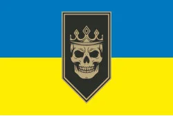 Прапор 20 БрОП (бригада оперативного призначення) НГУ «Любарт». Варіант-05
