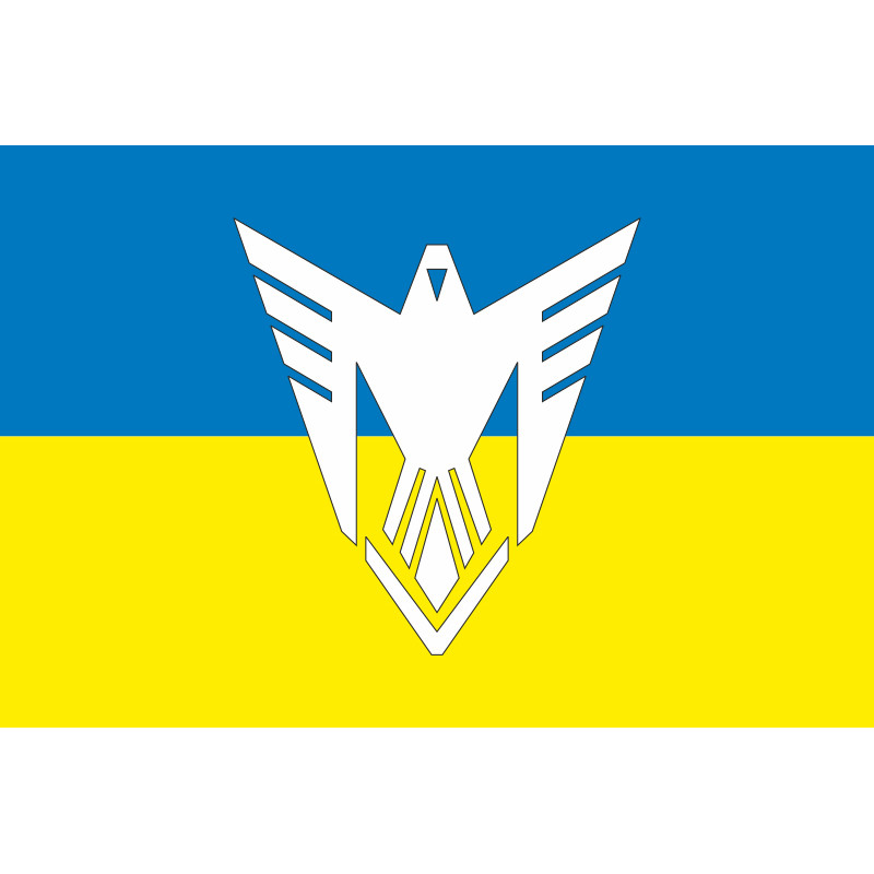 Прапор 9 ОБрБпС (окрема бригада безпілотних систем) ЗСУ «Вінницькі скіфи». Варіант-25 Прапор 9 ОБрБпС (окрема бригада безпілотних систем) ЗСУ «Вінницькі скіфи». Варіант-25