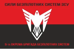 Флаг 9 ОБрБпС (отдельная бригада беспилотных систем) ВСУ «Винницкие скифы». Вариант-28 Флаг 9 ОБрБпС (отдельная бригада беспилотных систем) ВСУ «Винницкие скифы». Вариант-28