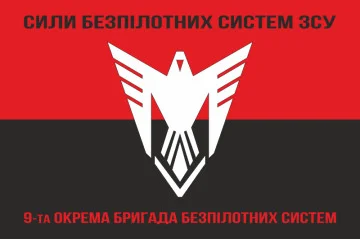Флаг 9 ОБрБпС (отдельная бригада беспилотных систем) ВСУ «Винницкие скифы». Вариант-28