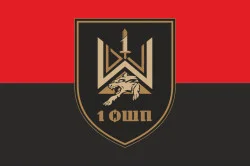 Флаг 1 ОШП (отдельный штурмовой полк) ВСУ. Вариант-03