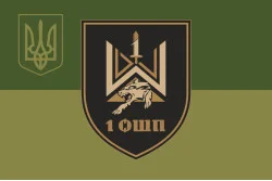 Флаг 1 ОШП (отдельный штурмовой полк) ВСУ. Вариант-07