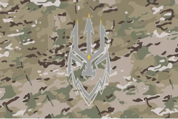 Флаг 2 ББО (батальон береговой обороны) 40 ОБрБО МП ВМС ВСУ. Вариант-13