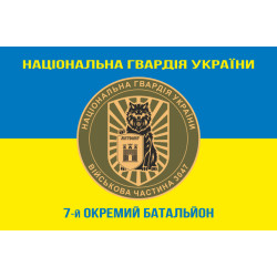 Прапор 7 ОБ (окремий батальйон) НГУ. Варіант-12