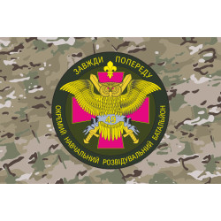 Прапор 49 НЦР (навчальний центр розвідки) ЗСУ. Варіант-06 Прапор 49 НЦР (навчальний центр розвідки) ЗСУ. Варіант-06